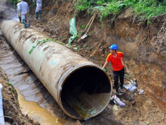 Ảnh bìa bài viết 321332