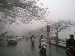 Ảnh bìa bài viết 321268