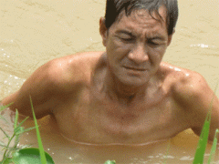 Ảnh bìa bài viết 321348