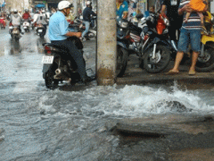 Ảnh bìa bài viết 321356