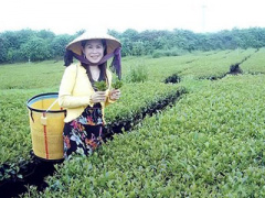 Ảnh bìa bài viết 321388