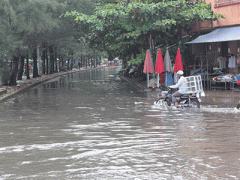 Ảnh bìa bài viết 321539