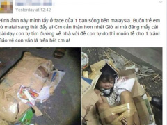 Ảnh bìa bài viết 321719