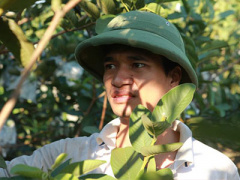Ảnh bìa bài viết 321629