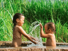 Ảnh bìa bài viết 321805