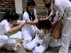 Ảnh bìa bài viết 321773