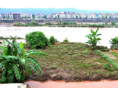 Ảnh bìa bài viết 322270