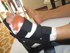 Ảnh bìa bài viết 322249