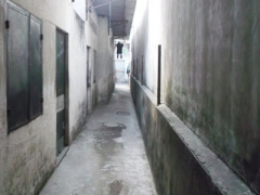 Ảnh bìa bài viết 322258