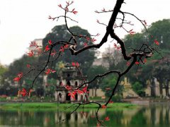 Ảnh bìa bài viết 322414
