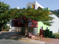 Ảnh bìa bài viết 322744