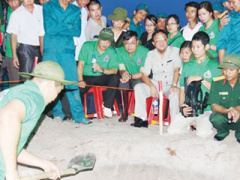Ảnh bìa bài viết 322788