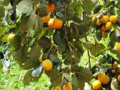 Ảnh bìa bài viết 322905