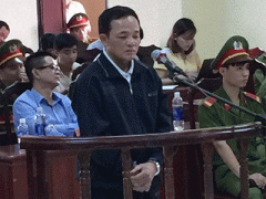 Ảnh bìa bài viết 323024