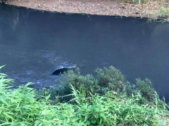 Ảnh bìa bài viết 323078