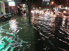 Ảnh bìa bài viết 323245