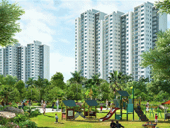 Ảnh bìa bài viết 323247