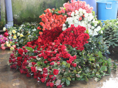 Ảnh bìa bài viết 323283