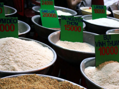 Ảnh bìa bài viết 323923