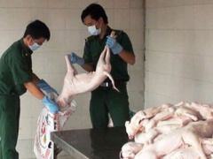 Ảnh bìa bài viết 323991