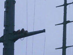 Ảnh bìa bài viết 324221