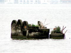 Ảnh bìa bài viết 324215