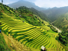 Ảnh bìa bài viết 324400