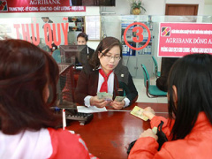 Ảnh bìa bài viết 324748