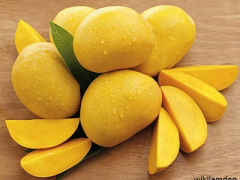Ảnh bìa bài viết 324593