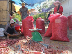 Ảnh bìa bài viết 324588