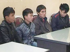 Ảnh bìa bài viết 324843