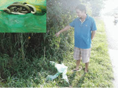 Ảnh bìa bài viết 324976