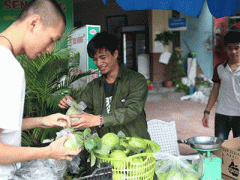 Ảnh bìa bài viết 325180