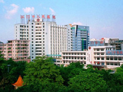 Ảnh bìa bài viết 325347