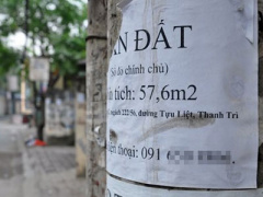 Ảnh bìa bài viết 325227
