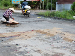 Ảnh bìa bài viết 325246
