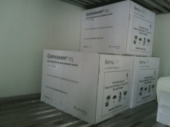 Ảnh bìa bài viết 325383