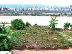 Ảnh bìa bài viết 325382