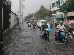 Ảnh bìa bài viết 325548