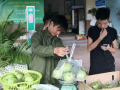 Ảnh bìa bài viết 325629