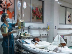 Ảnh bìa bài viết 325586
