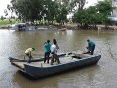 Ảnh bìa bài viết 325804