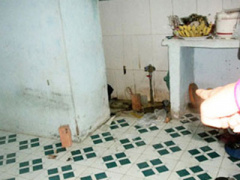 Ảnh bìa bài viết 325831