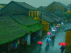 Ảnh bìa bài viết 326105