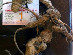 Ảnh bìa bài viết 326072