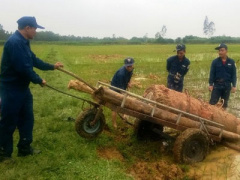 Ảnh bìa bài viết 326078