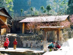 Ảnh bìa bài viết 326075