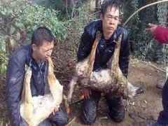 Ảnh bìa bài viết 326388