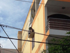 Ảnh bìa bài viết 326600