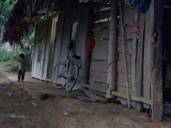Ảnh bìa bài viết 327193